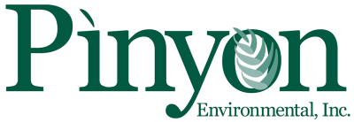 Pinyon Environmental